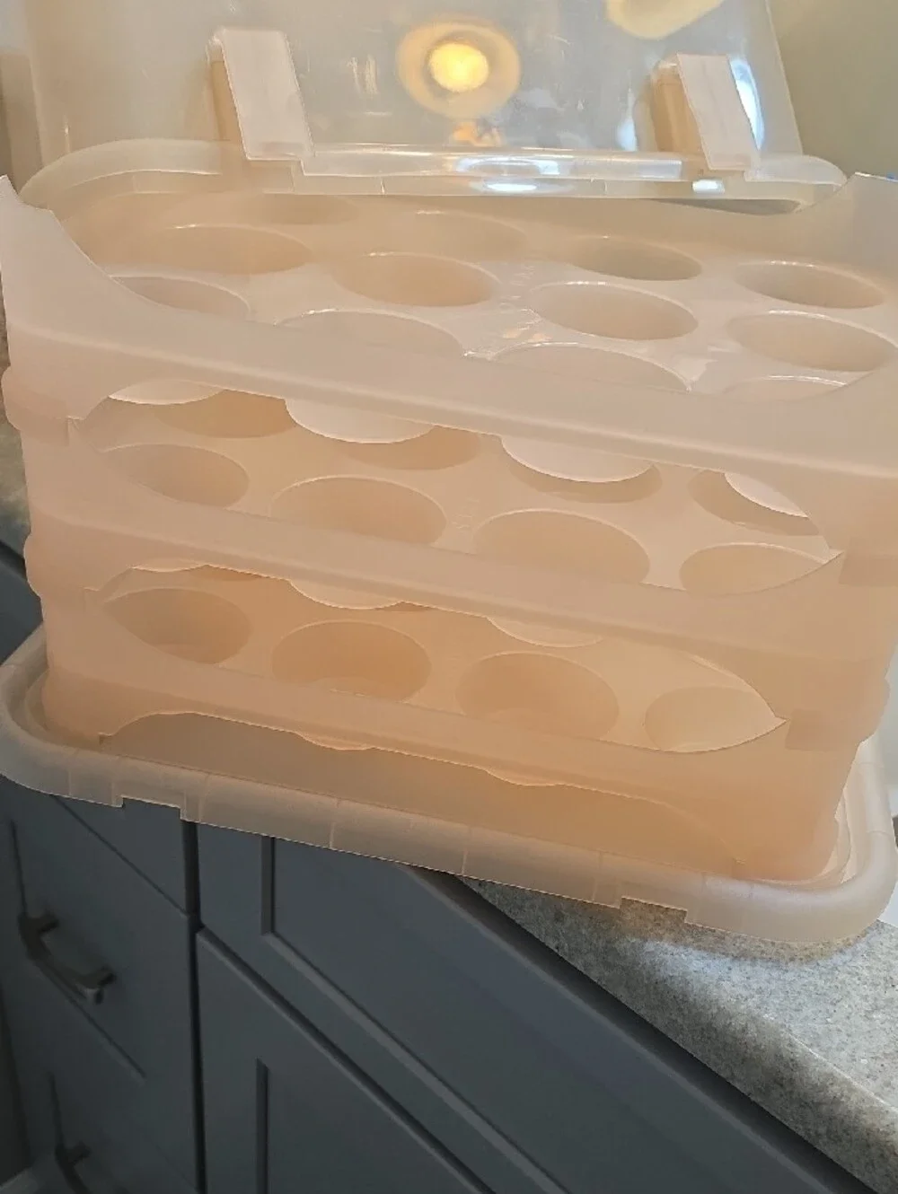 Peach Portable Multi-Tier Cupcake Carrier